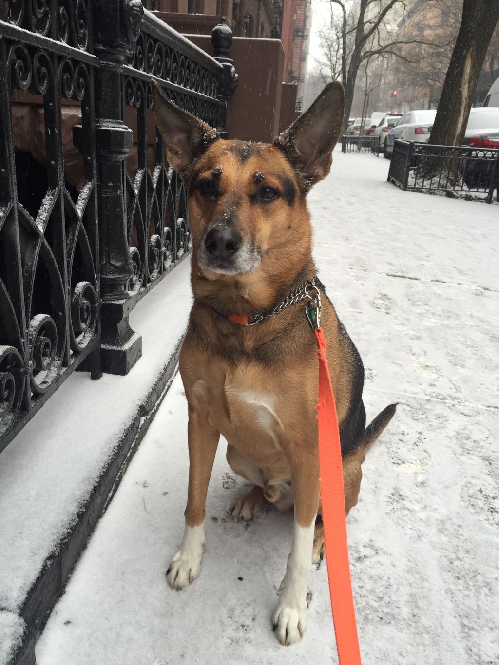 One of my first and best client's, Hank and family