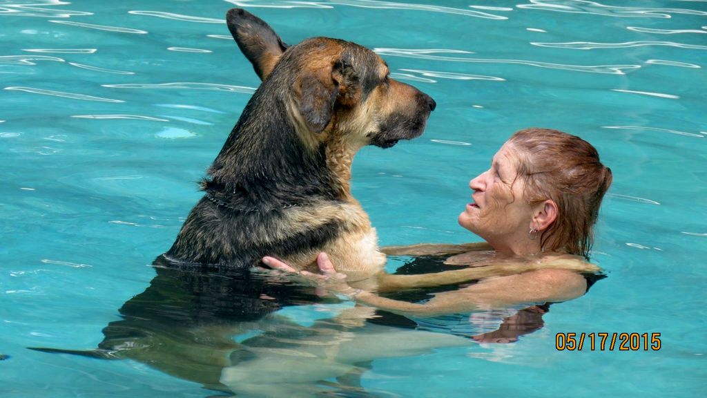 I also own AquaPets and work with dogs