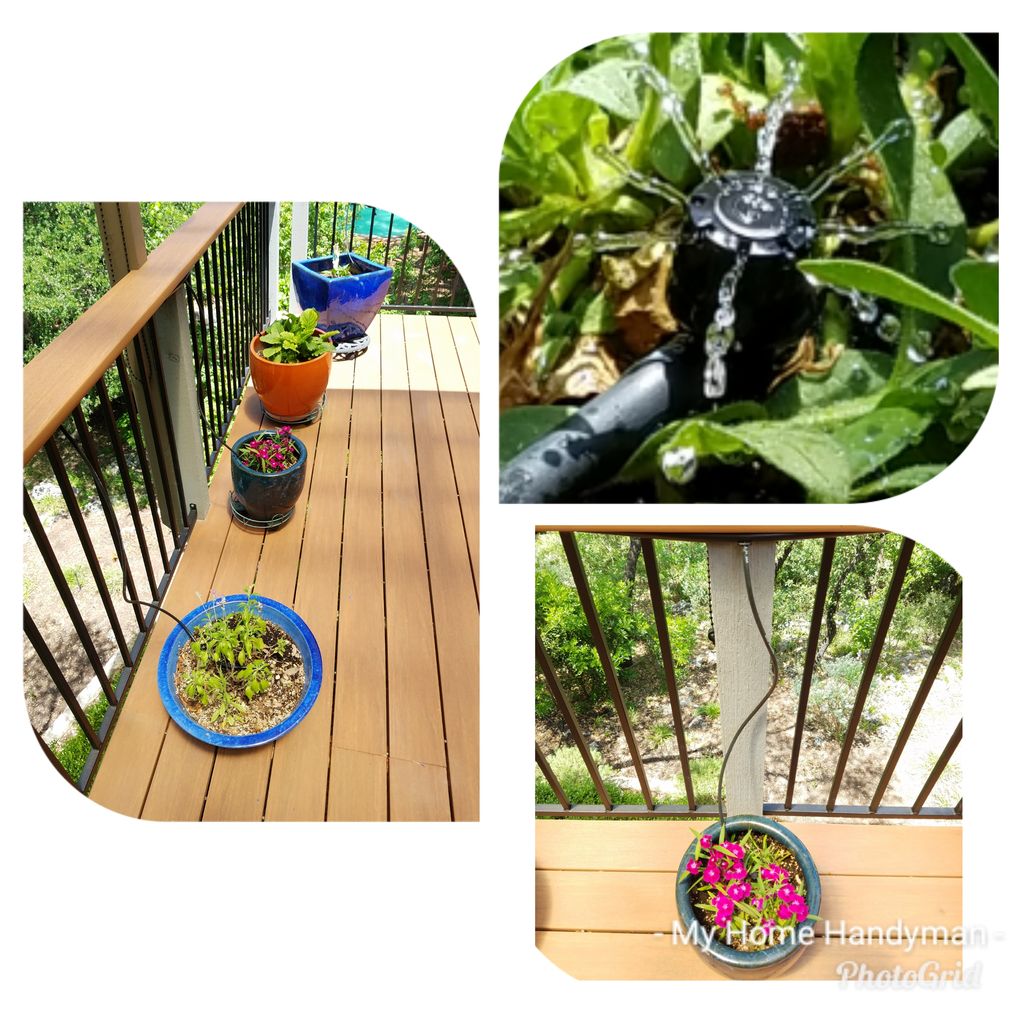 Slow Drip irrigation system installed