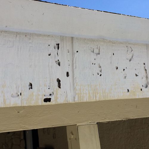  Damage from Drywood Termites.