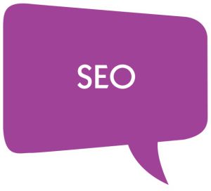 Professional Local and Organic Search Engine Optim