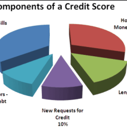 Credit Score Component