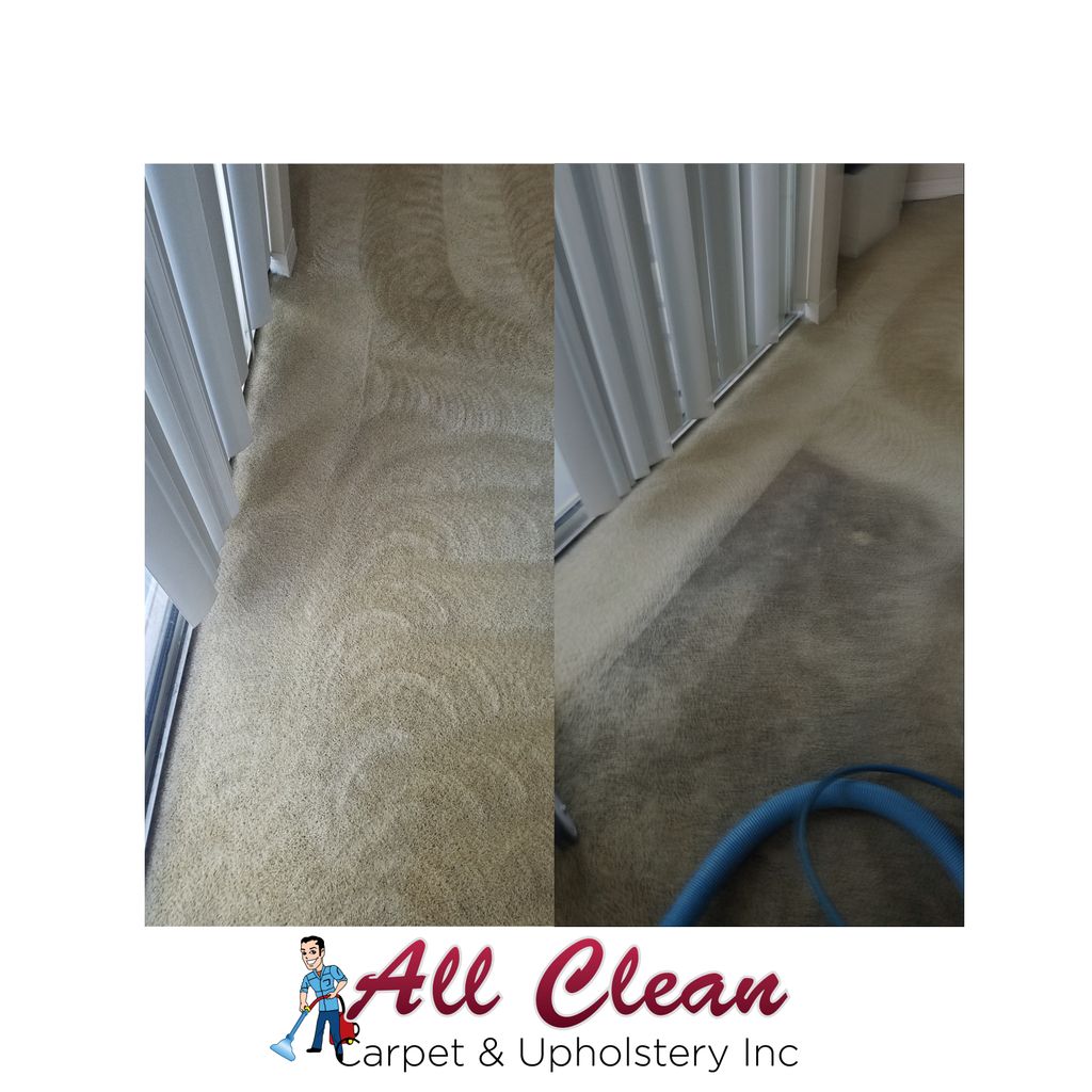 Carpet Cleaning Deep Scrub