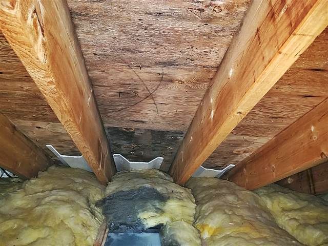 Bath fan in back of attic venting into attic. Look