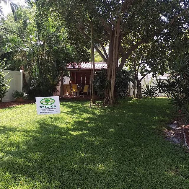 Another beautiful lawn, serviced by Upgraded Profe