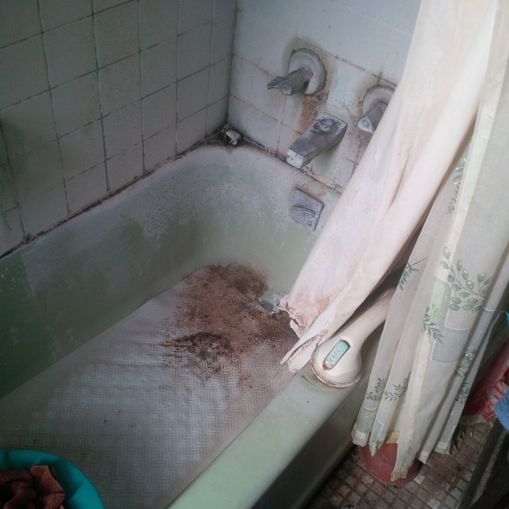 Shower Before Cleaning