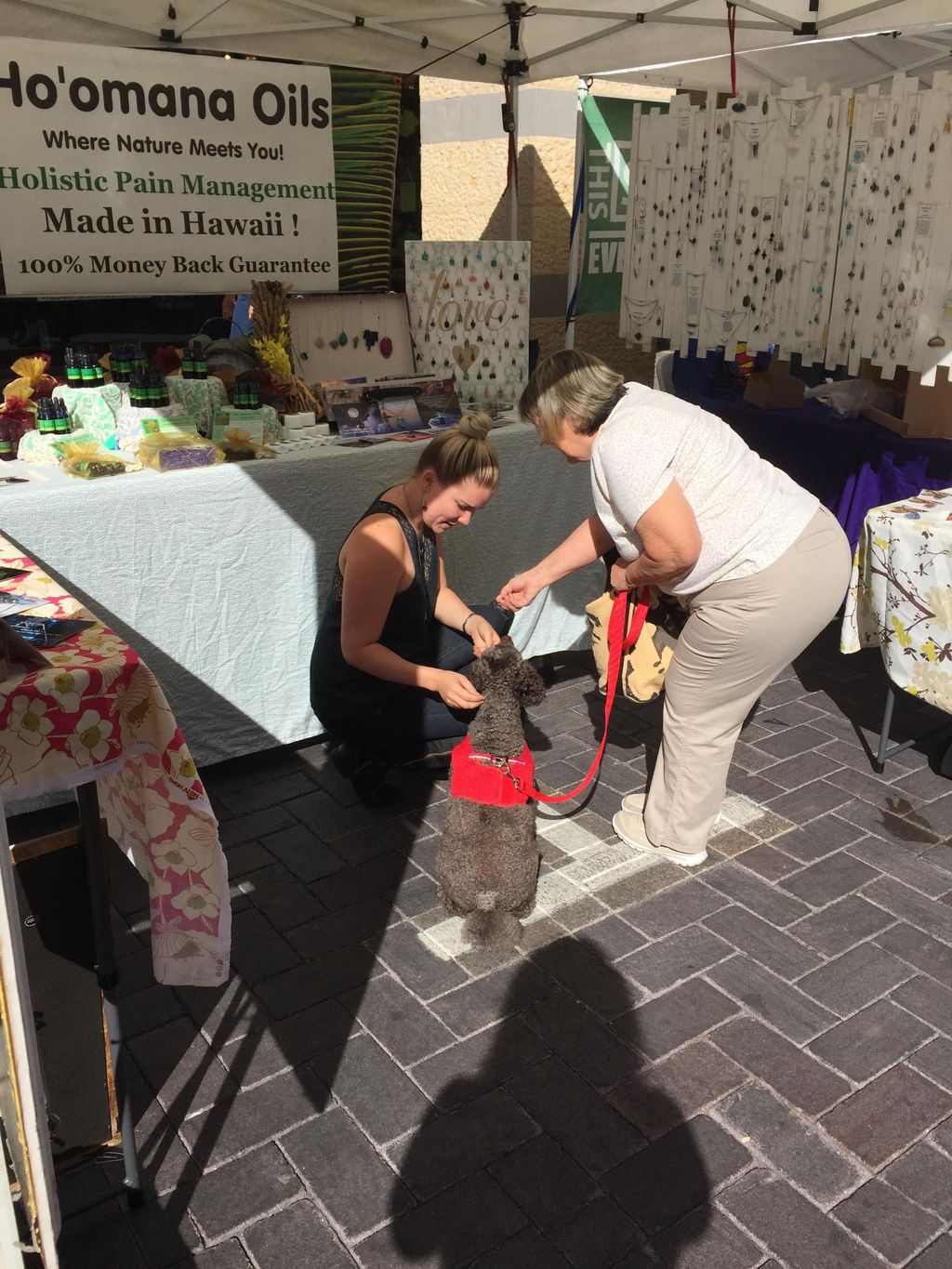 March 2016 - Practicing with the Therapy Dogs in t