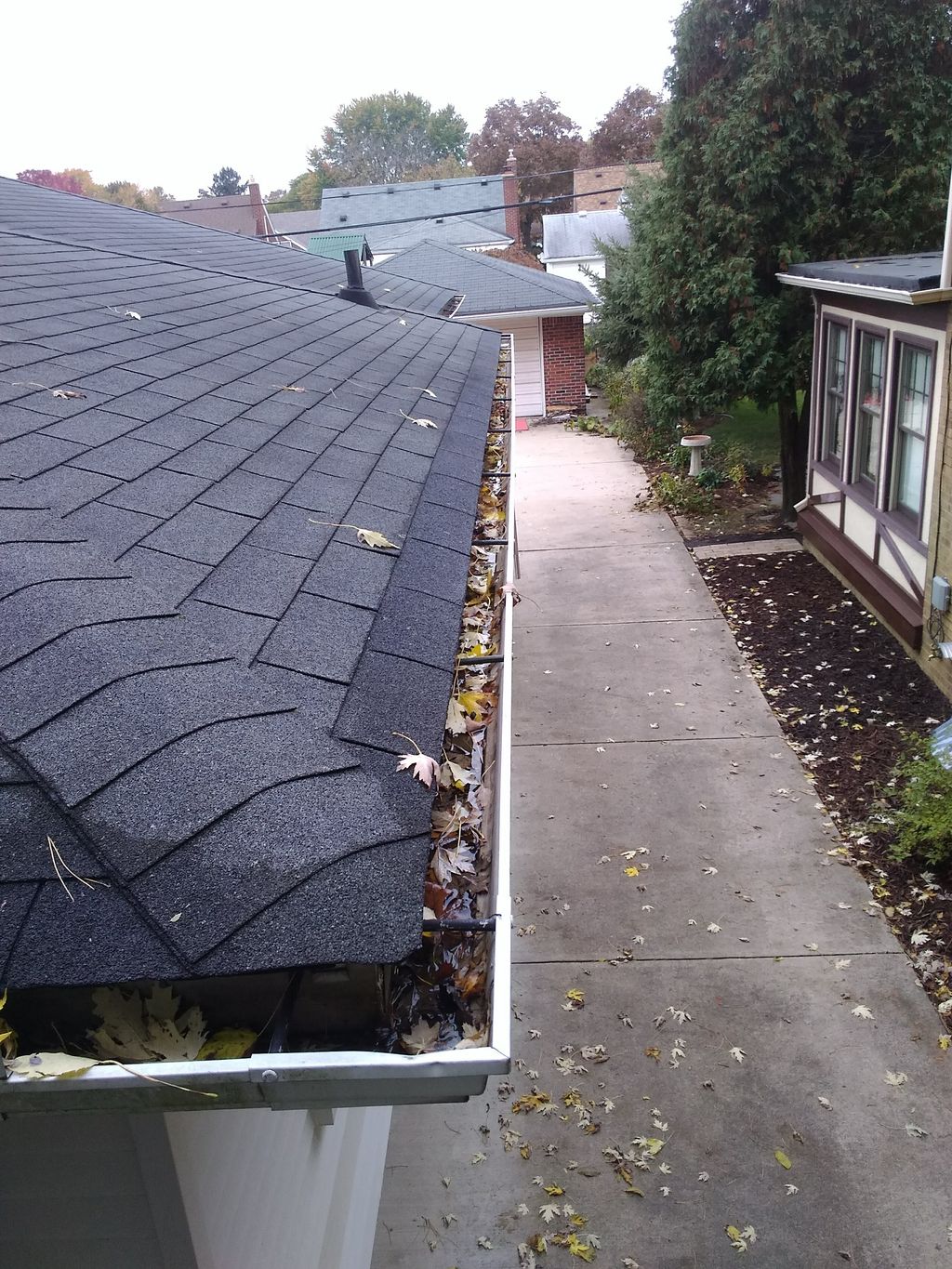 House Gutter Before Cleaning