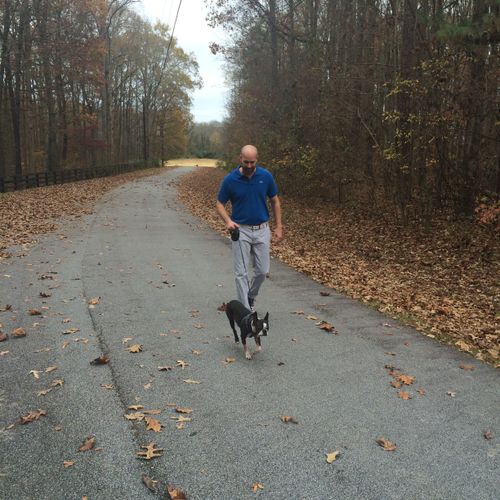 Dog Walking in Greensboro, GA