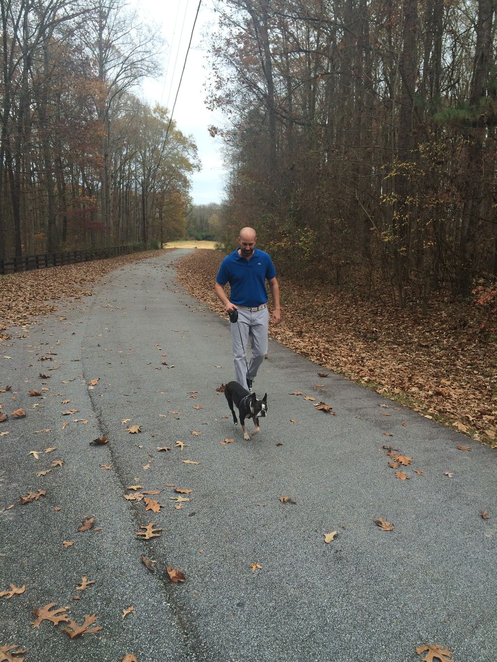 Dog Walking in Greensboro, GA