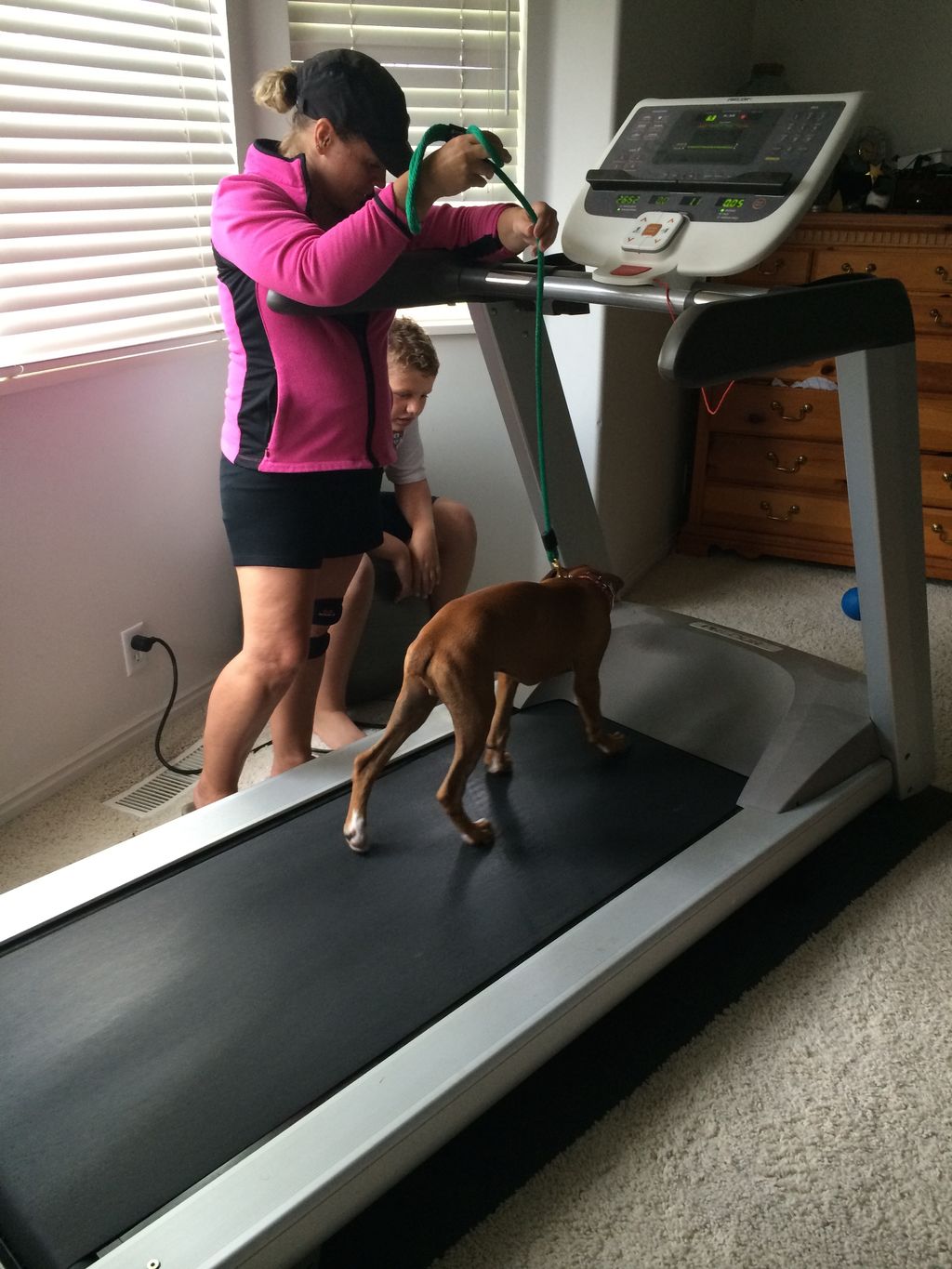 Treadmill training is a great addition to any of o