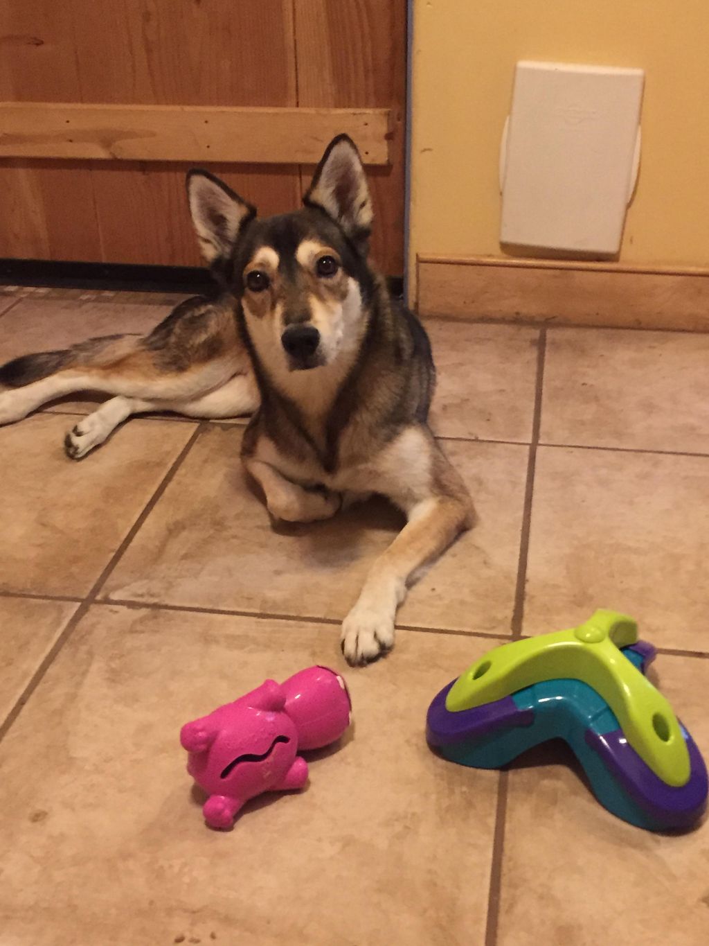 Evey Lynn and her birthday toys