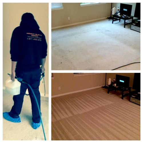 Carpet care before & after