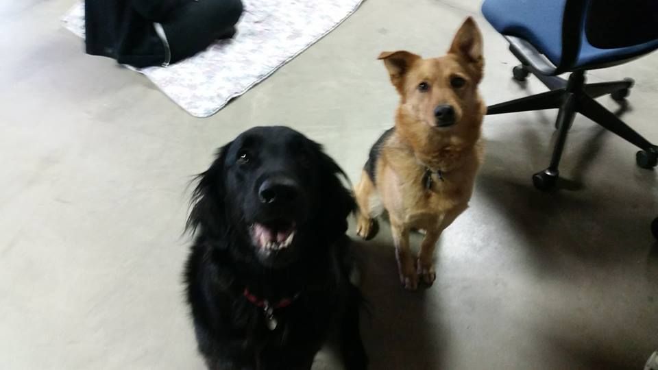 The two siblings being wonderfully behaved.