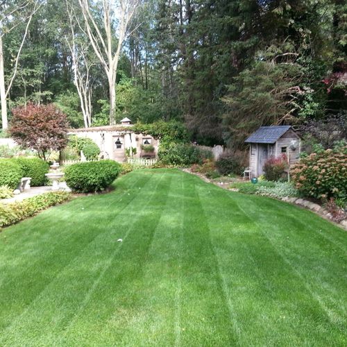 One of our more detailed lawn and landscaping jobs