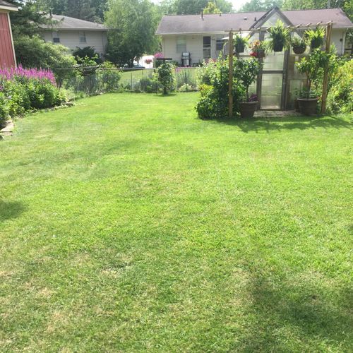 Mowing and trimming and plant installation