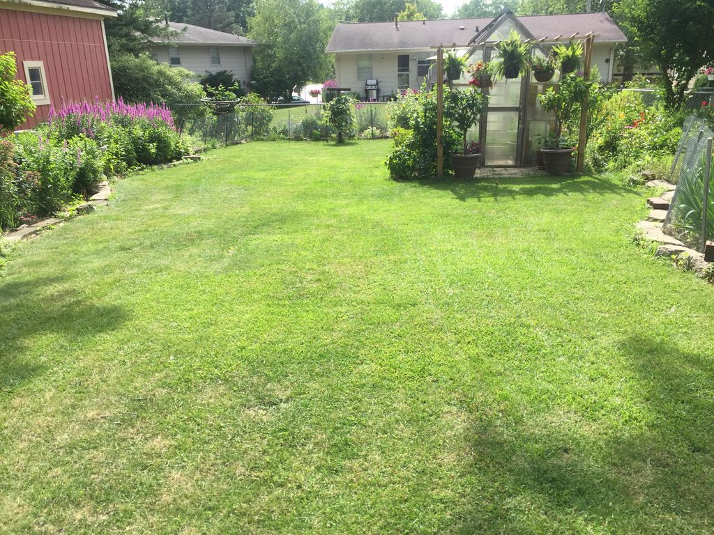 Mowing and trimming and plant installation