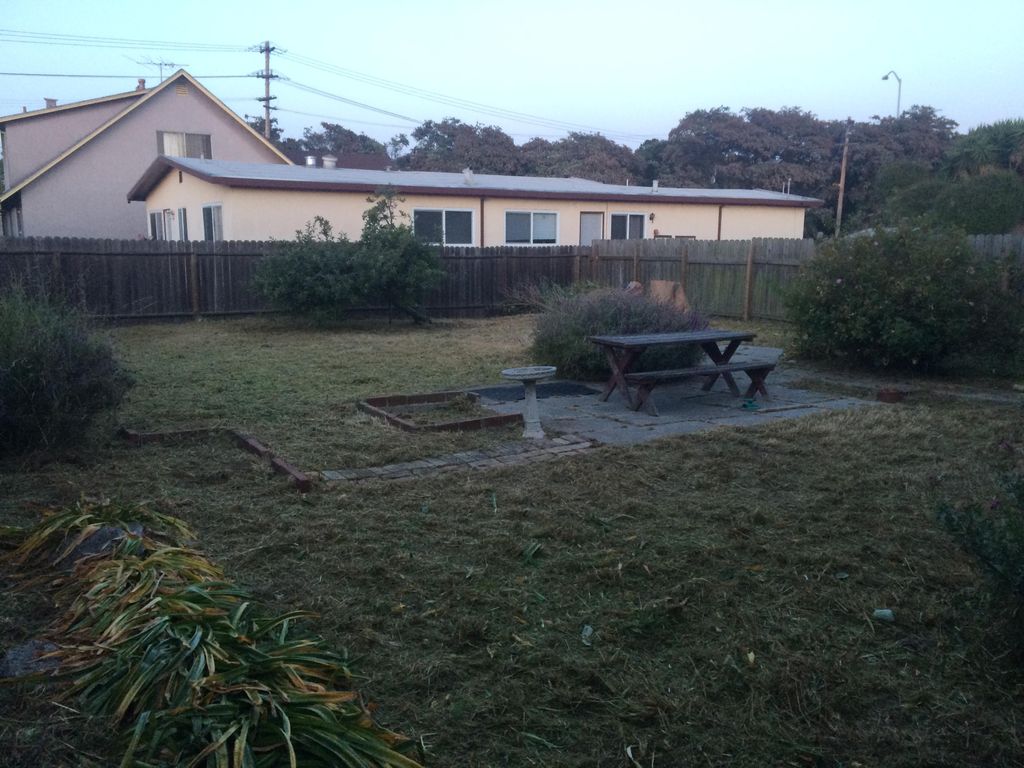 2+ feet of weeds removed and lawn mowed.