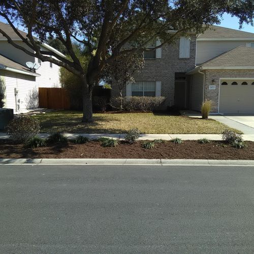 Carrie S.
Clean Up/Re Mulch