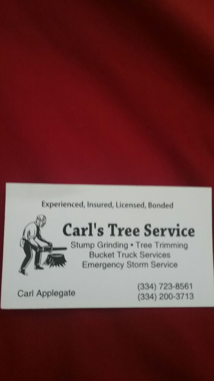 Carl's tree service