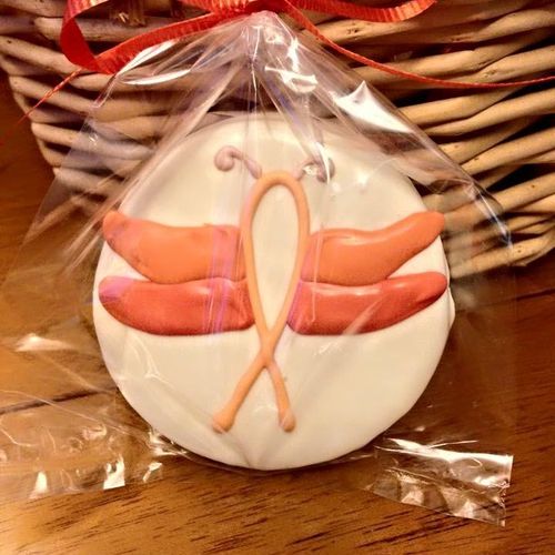[Orange Dragonfly Foundation] Fundraising cookies 