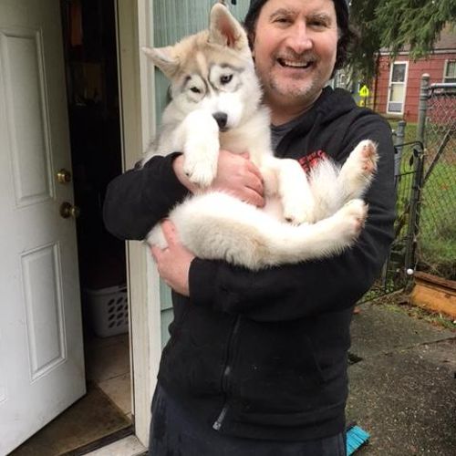 Seattle Dog Boarding Seattle, WA Thumbtack