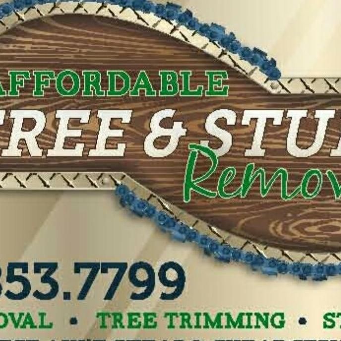 Affordable Tree & Stump Removal