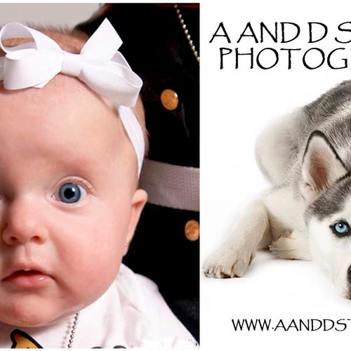 Baby and Pet photography with Roger Bahn, photogra