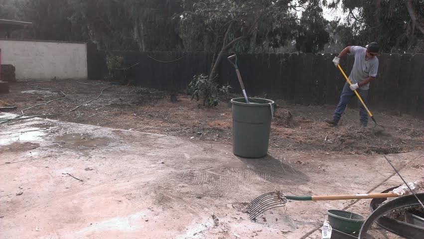 Before (backyard)