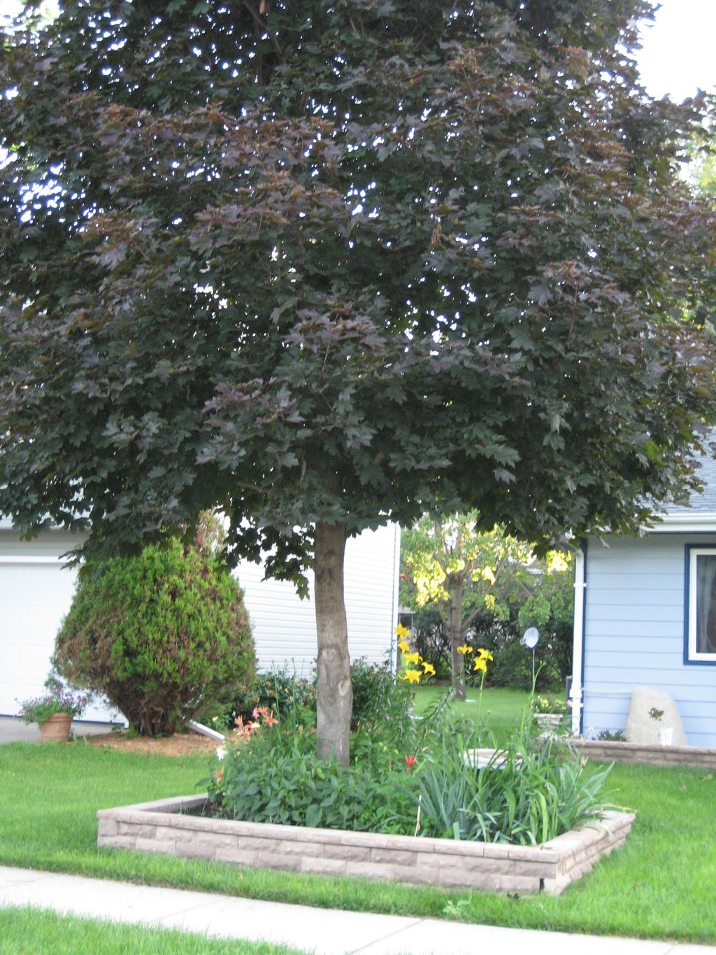 Retaining wall and flower bed.