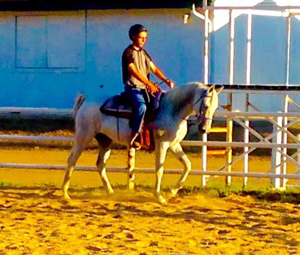 Michael on Cariah at sunset