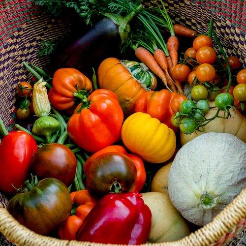 September harvest from my garden