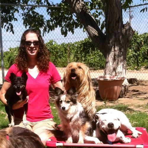 Debbie and four of her personal dogs.