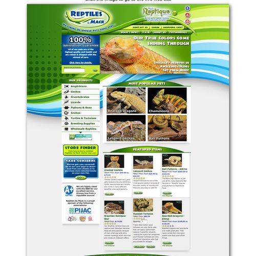 Reptiles By Mack website which increased their web