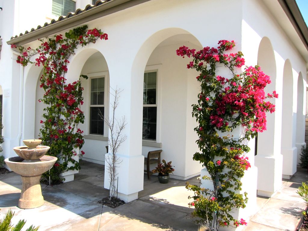 Outside of the studio.