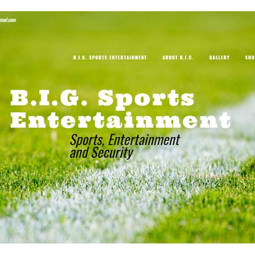 Big Sports Entertainment & Security Web Developmen