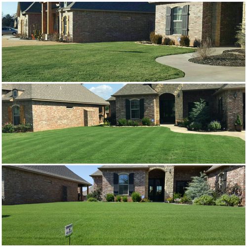 Residential lawn care: Turf Paint through dormant 