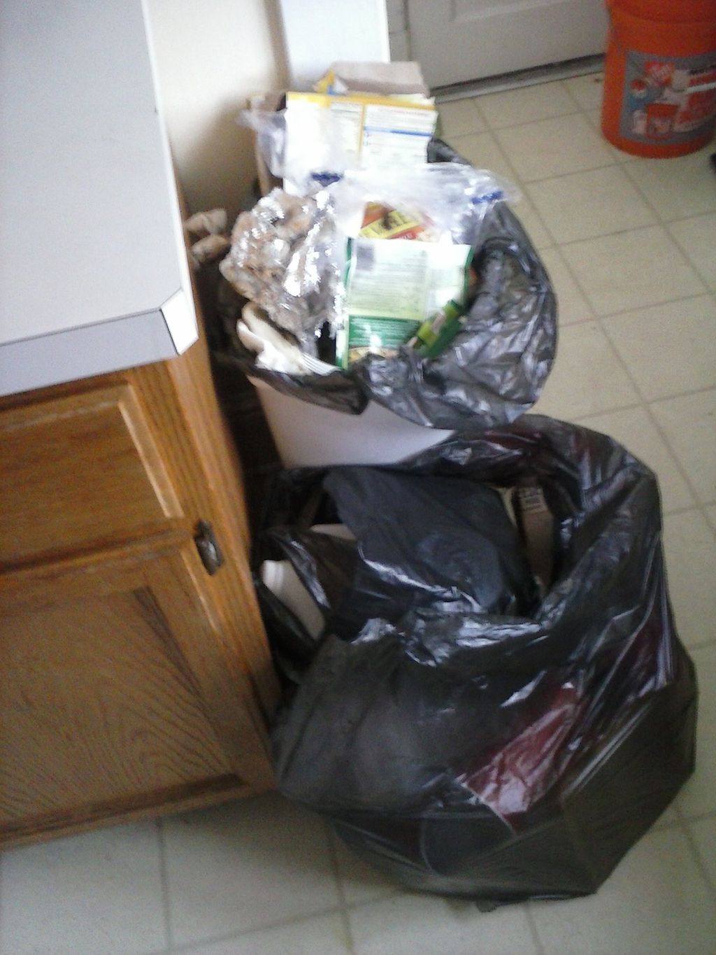 Trash is a haven for mice. It has almost everythin