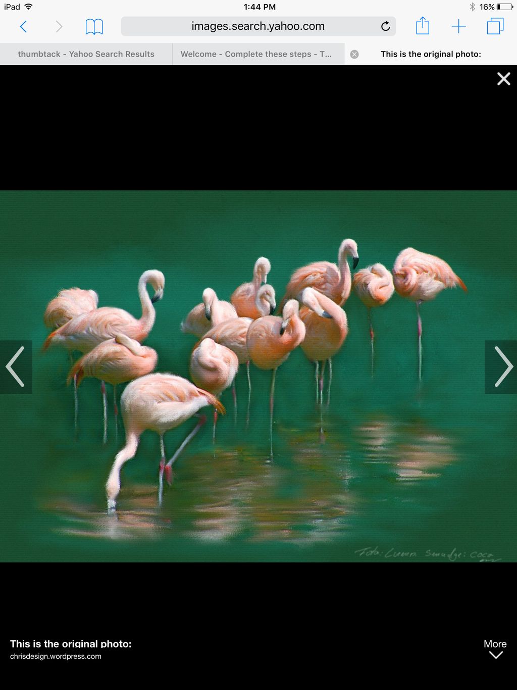 Flamingo land and tree-care