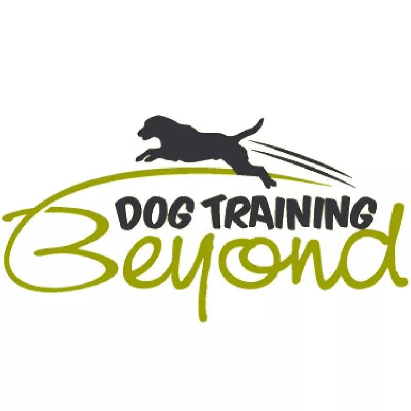 Dog Training Beyond