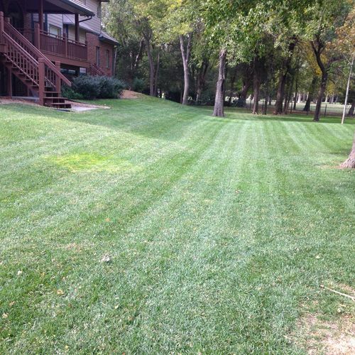 All my lawns are striped to give it that clean cut