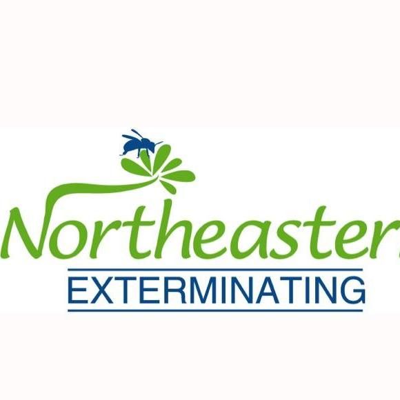 Northeastern Exterminating