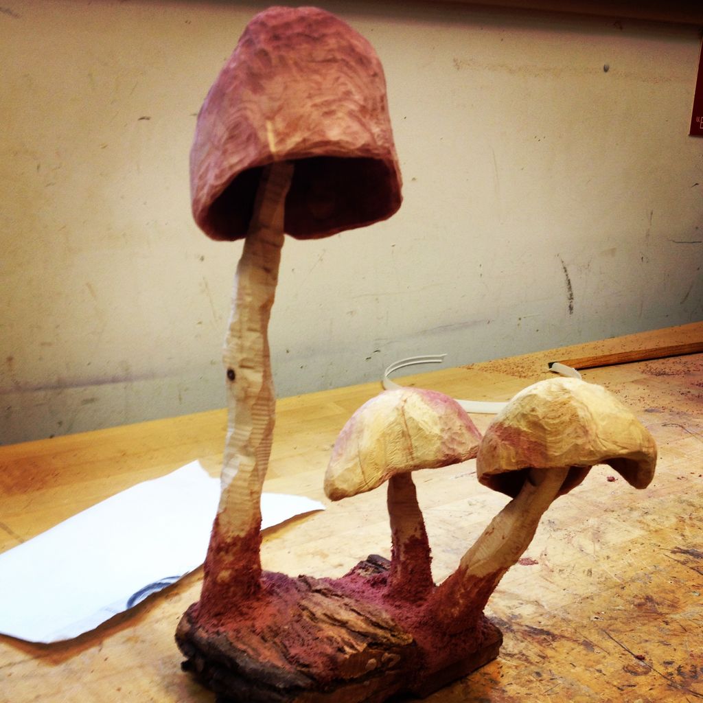 red cedar mushrooms