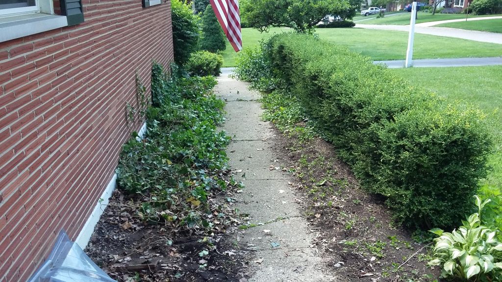 BEFORE Landscaping let go for several years 