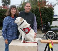 Famed Signal Service Dog for the hearing impaired.
