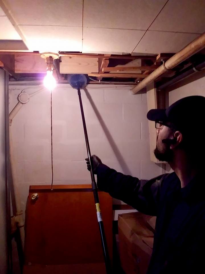 Removal of spider webs 