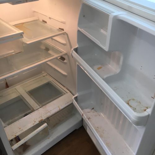 Before Fridge cleaning