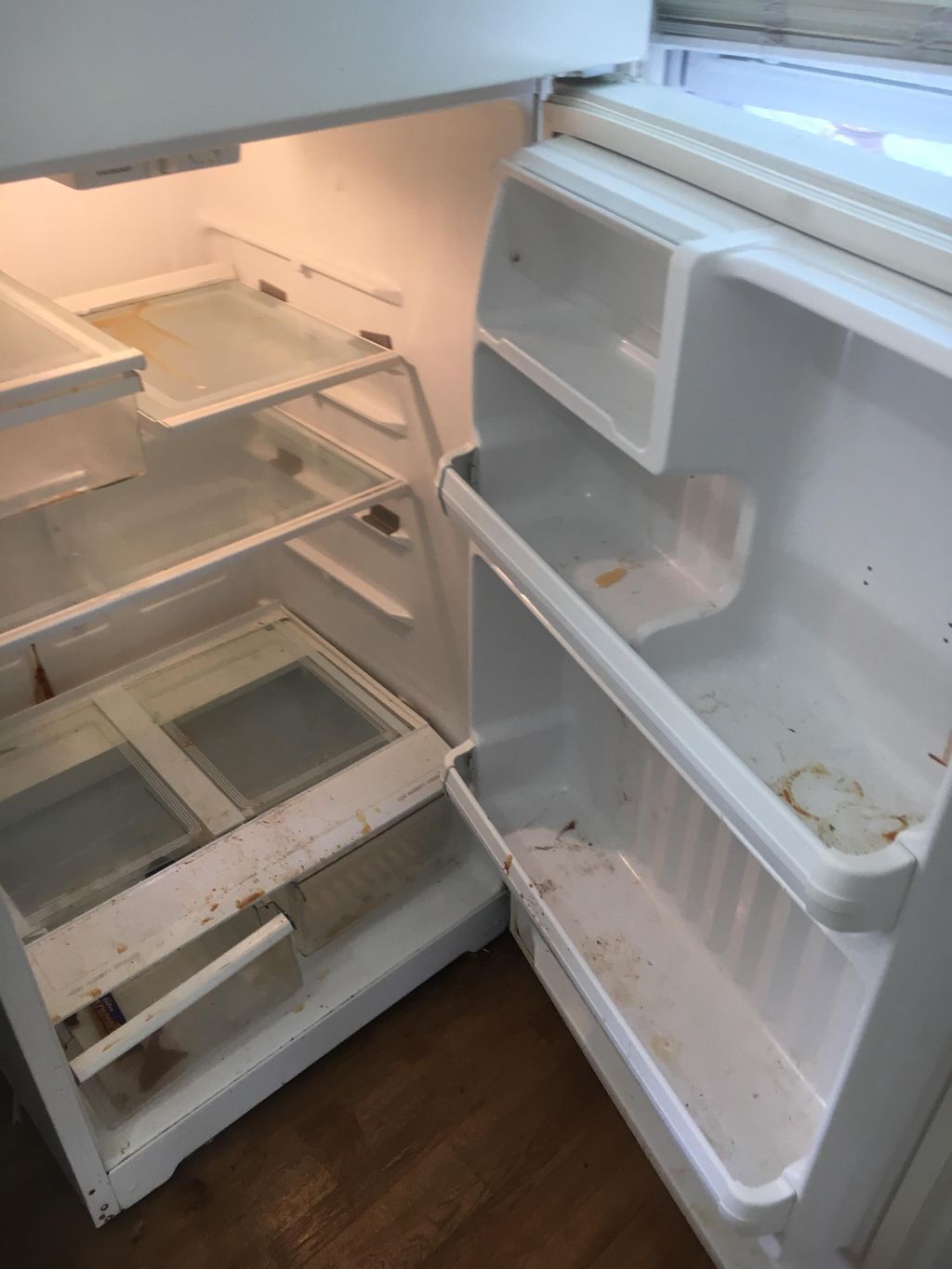 Before Fridge cleaning