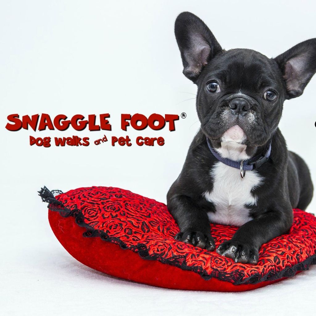 Snaggle Foot Dog Walks & Pet Care- Cleveland West