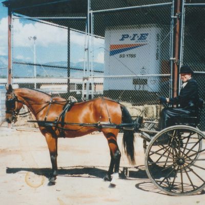 Avatar for Pet Care Above & Beyond